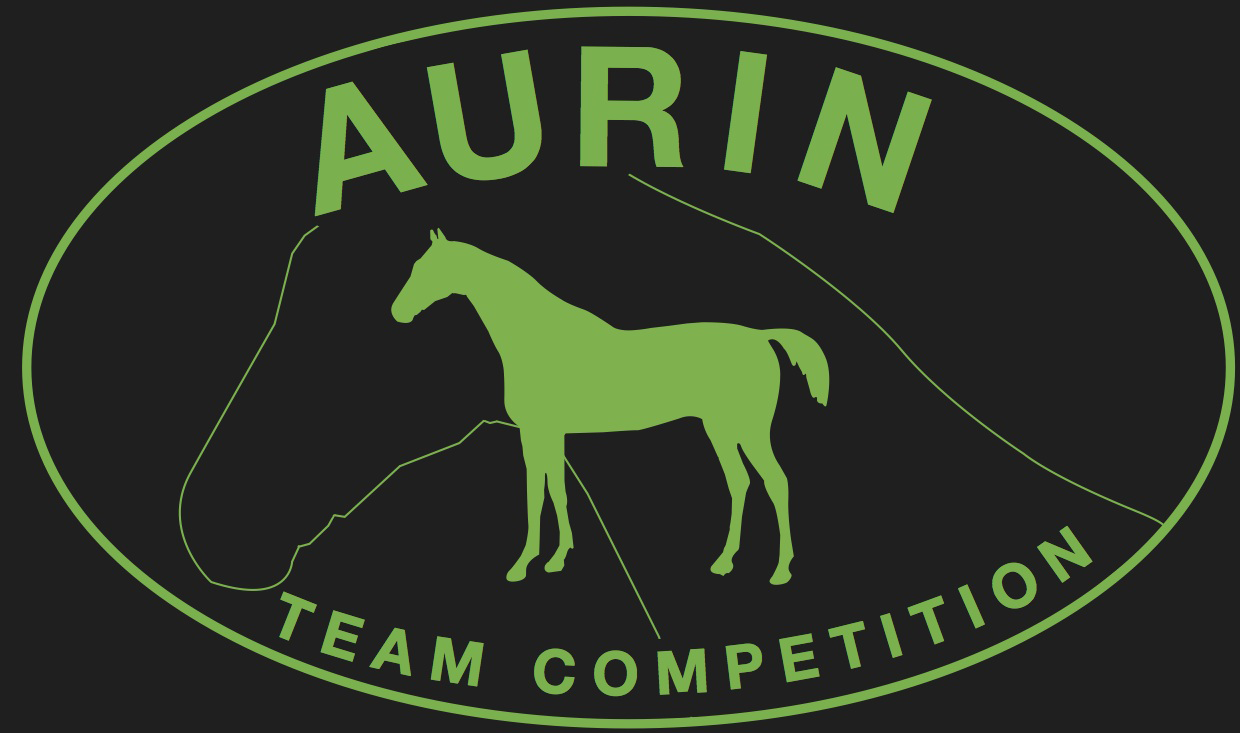 Pensions pour chevaux au Centre Équestre d’Aurin