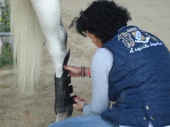 FORMATION PREPARATION MENTALE AVEC CARINE CAMBOULIVES AU CENTRE EQUESTRE 