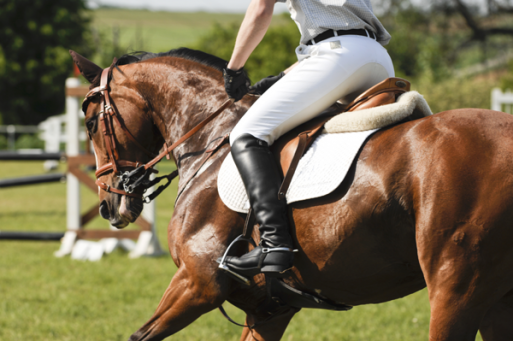 Les cours d’équitation cheval du Centre équestre d'Aurin