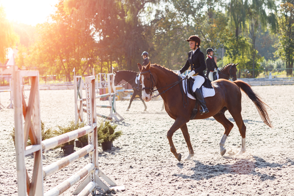 Les cours d’équitation cheval du Centre équestre d'Aurin