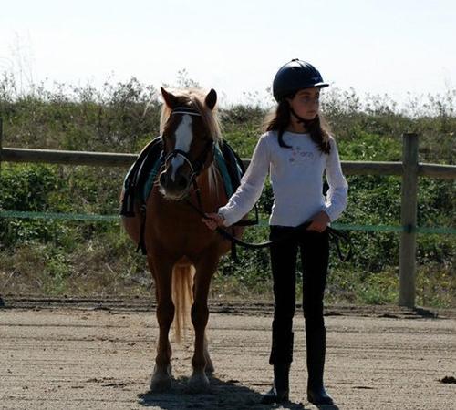 Le baby poney du centre équestre 