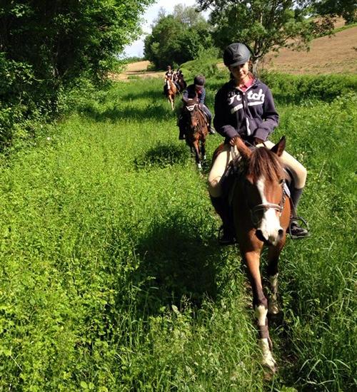 Le poney club du Centre Equestre à Aurin